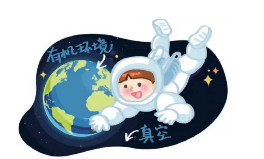 mk体育股份